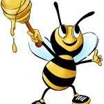 honey bee, bee, honey-469560.jpg